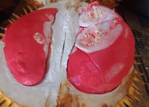 $row[jdl_album] - (Ada 0 foto)